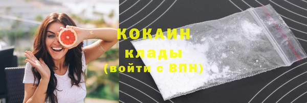 дурь Бронницы