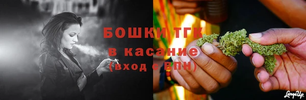 соль ск Верхний Тагил