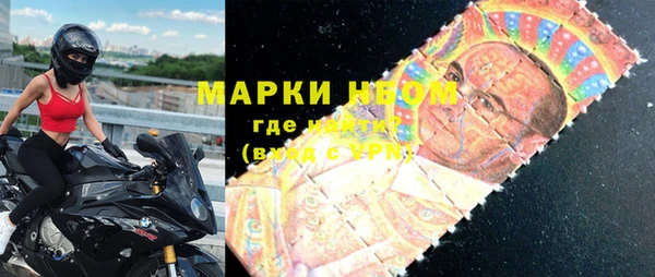 гидра Вязьма