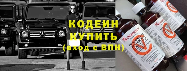 гидра Вязьма