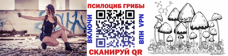 Псилоцибиновые грибы Psilocybe  Ирбит 