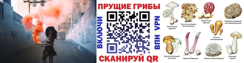 Псилоцибиновые грибы MAGIC MUSHROOMS Ирбит